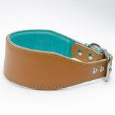 Padded Leather Greyhound Collar by Petiquette